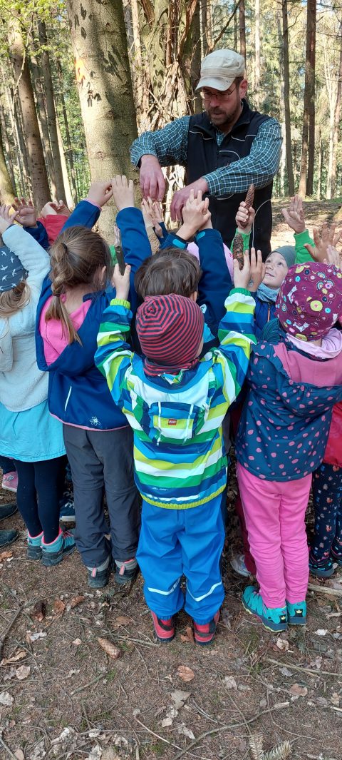 Besuch vom Förster | Naturnaher Kindergarten Babenhausen