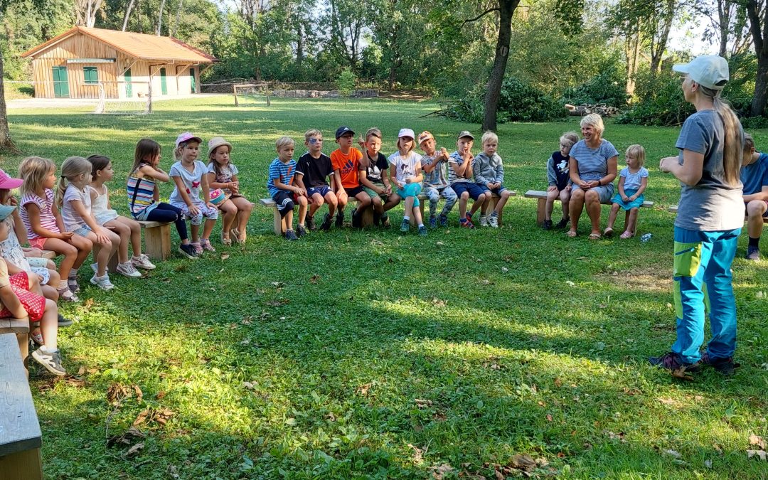 Lebensraum Hecke mit Frau Krahl von Prima Kids vom Bund Naturschutz Unterallgäu