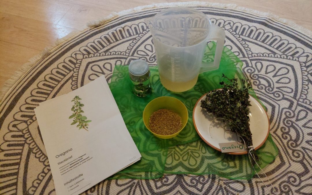 Kneipp Projekt – Element Kräuter