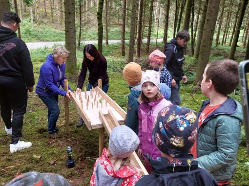 Neue Kugelbahn im Wald